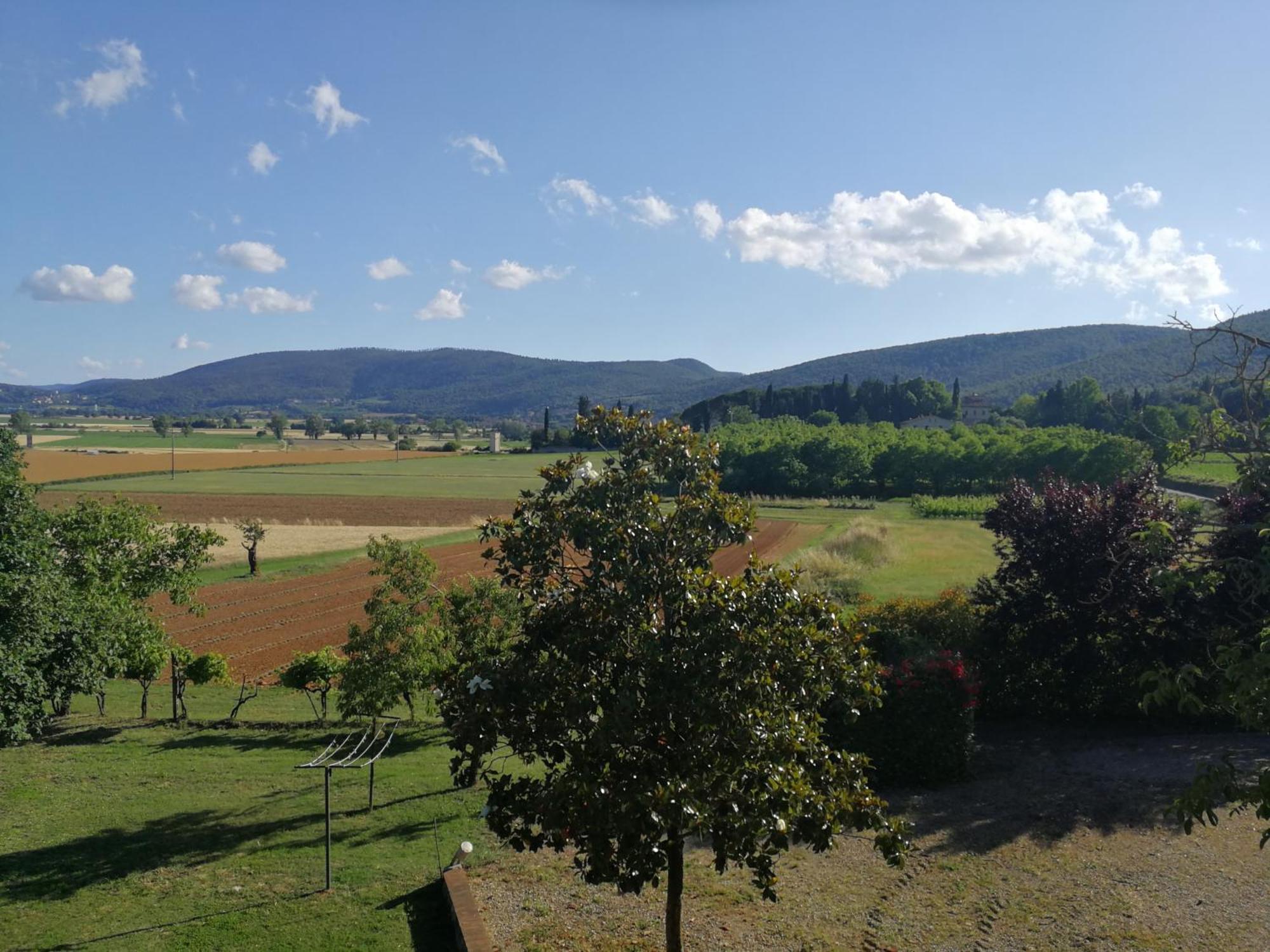 Claudia Vacanza Toscana - Appartamento Melograno -10 Min Da Siena Sovicille Habitación foto